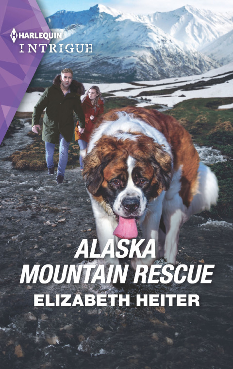 Cover image for book Alaska Mountain Rescue