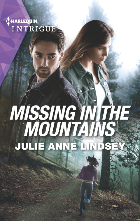 Cover image for book Missing in the Mountains