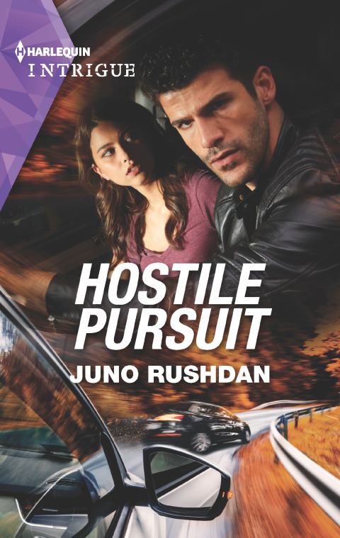 Cover image for book Hostile Pursuit
