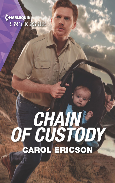 Cover image for book Chain of Custody