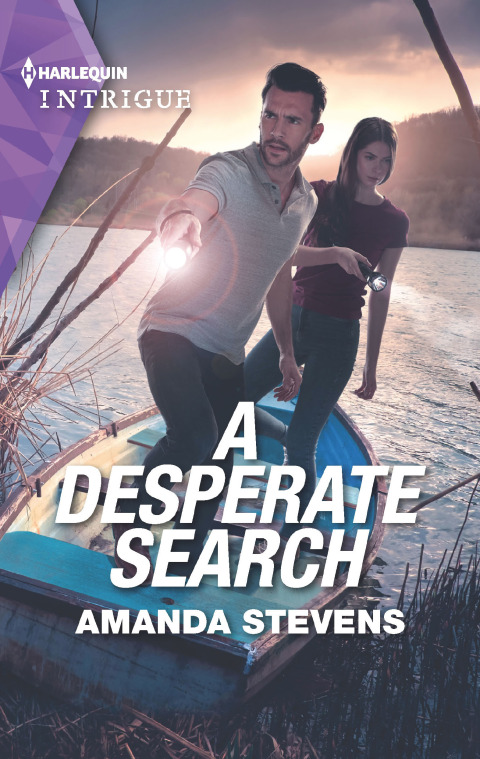 Cover image for book A Desperate Search