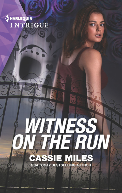 Cover image for book Witness on the Run