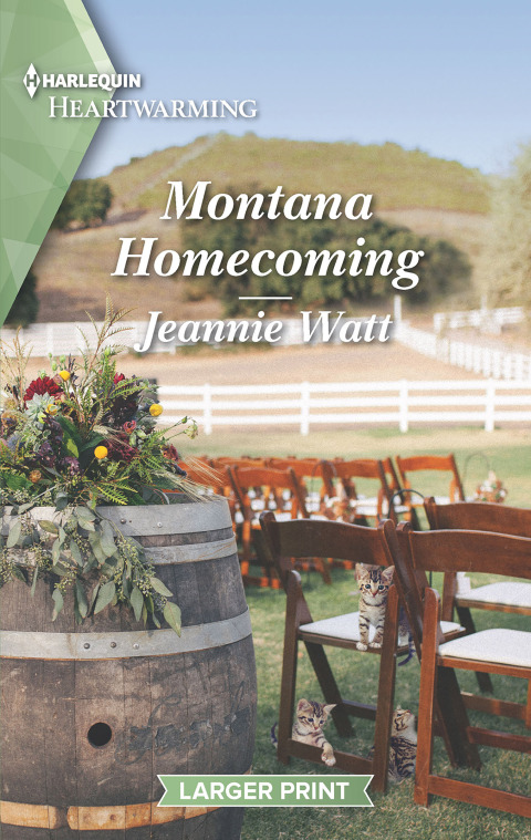 Cover image for book Montana Homecoming