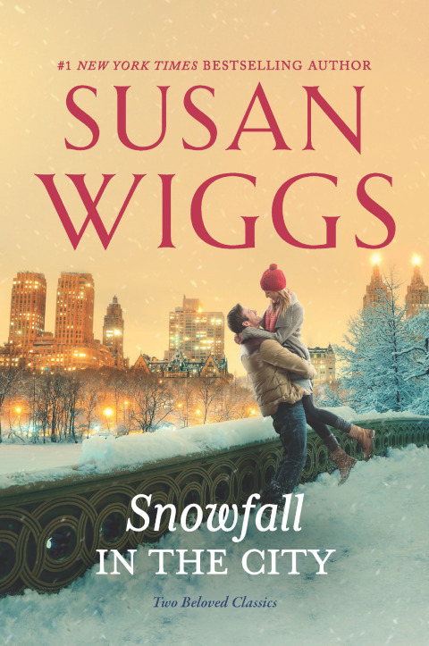 Cover image for book Snowfall in the City