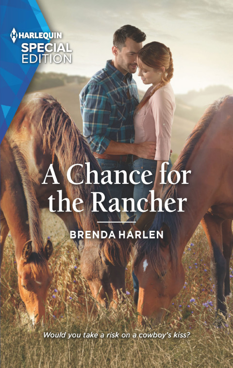 Cover image for book A Chance for the Rancher