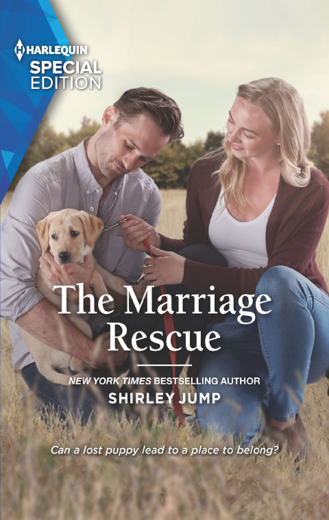 Cover image for book The Marriage Rescue