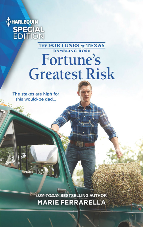 Cover image for book Fortune's Greatest Risk