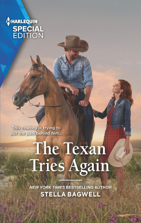 Cover image for book The Texan Tries Again