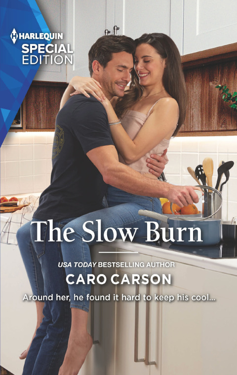 Cover image for book The Slow Burn