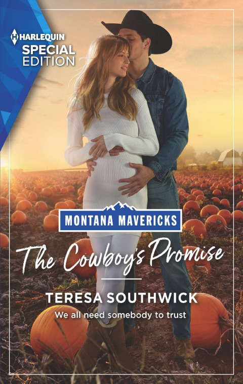 Cover image for book The Cowboy's Promise
