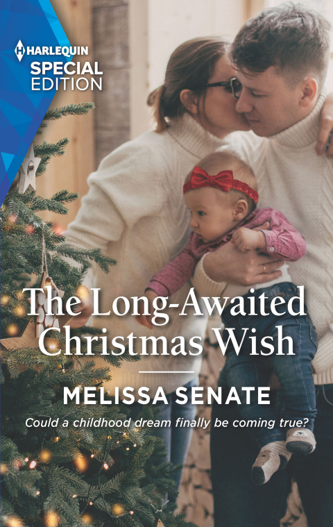 Cover image for book The Long-Awaited Christmas Wish