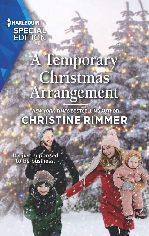 Cover image for book A Temporary Christmas Arrangement