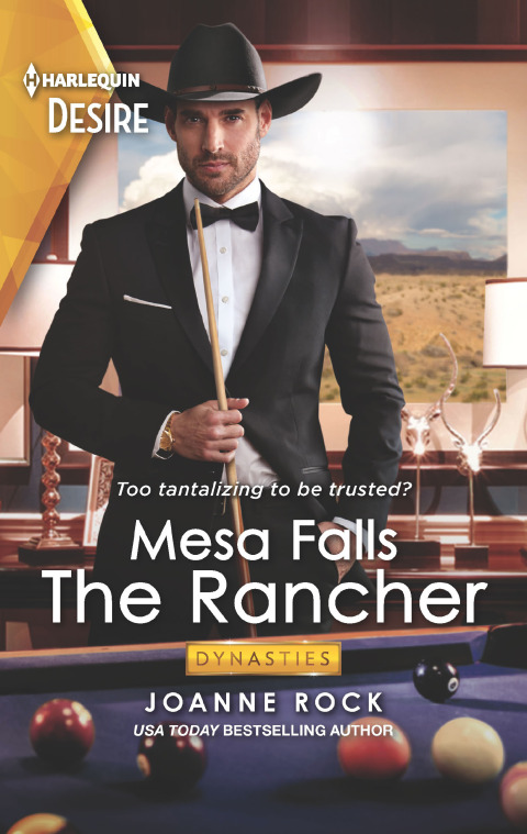 Cover image for book The Rancher