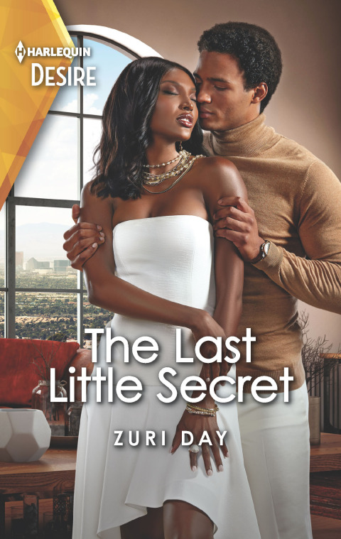 Cover image for book The Last Little Secret