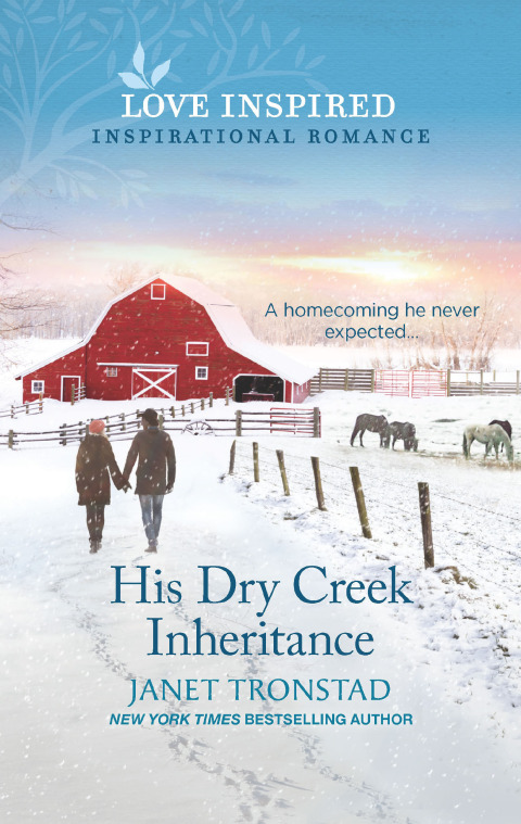 Cover image for book His Dry Creek Inheritance