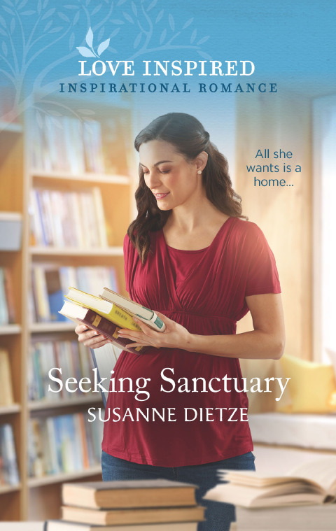 Cover image for book Seeking Sanctuary