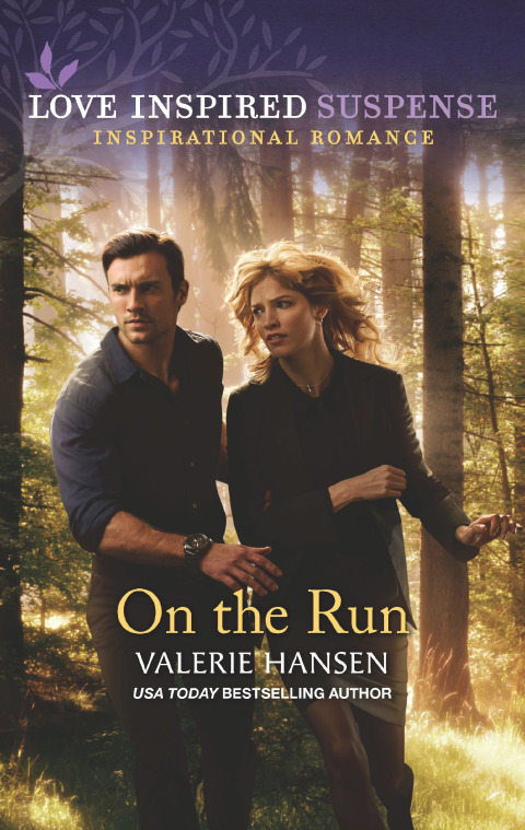 Cover image for book On the Run