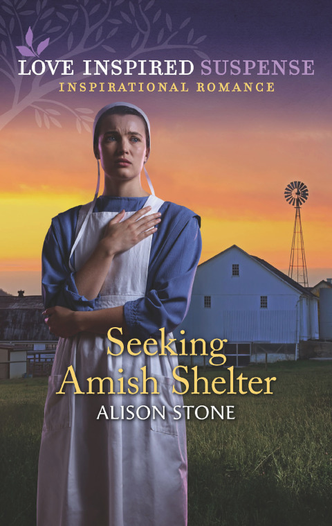 Cover image for book Seeking Amish Shelter