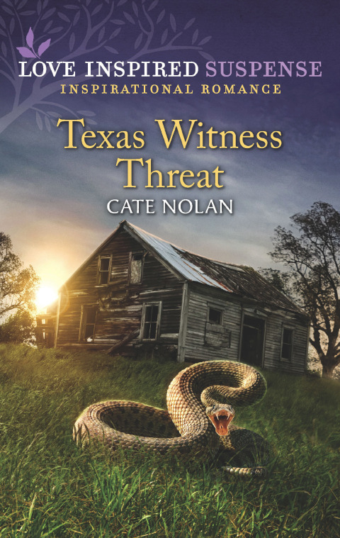 Cover image for book Texas Witness Threat