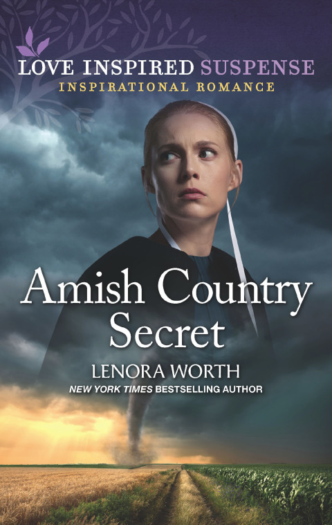 Cover image for book Amish Country Secret