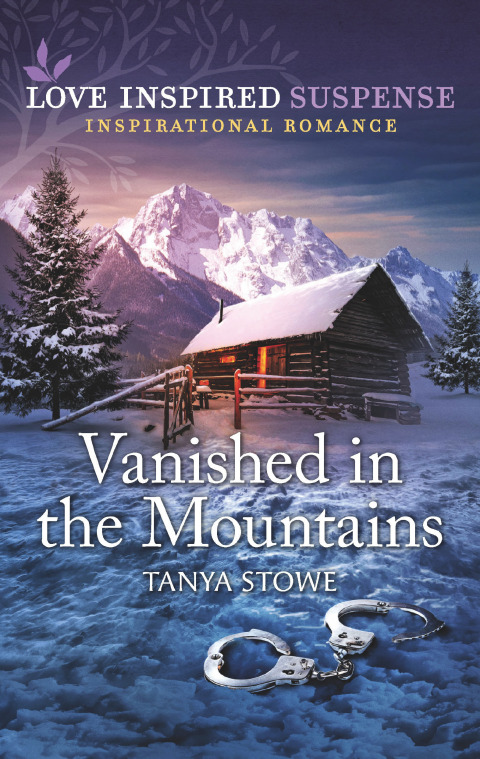 Cover image for book Vanished in the Mountains