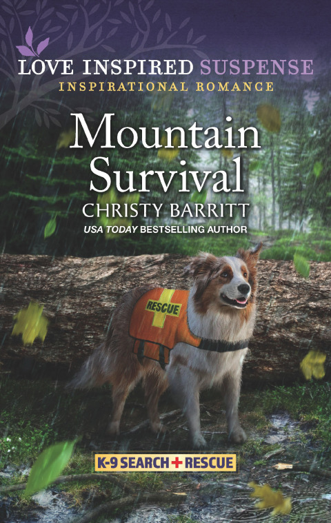 Cover image for book Mountain Survival