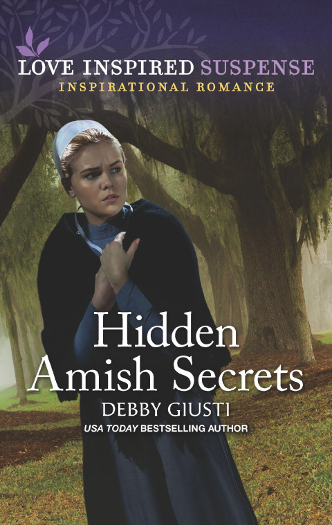 Cover image for book Hidden Amish Secrets