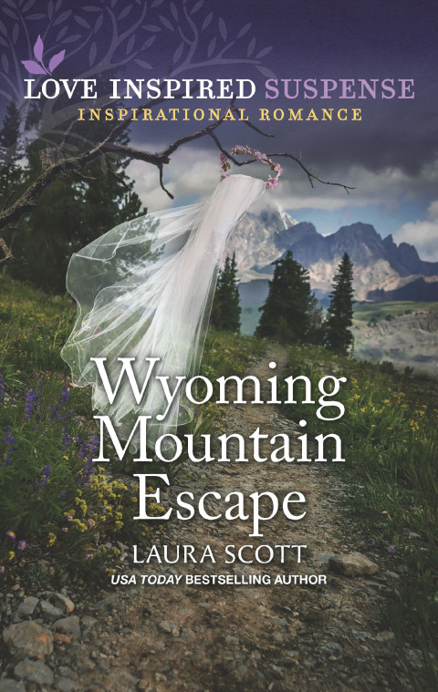 Cover image for book Wyoming Mountain Escape