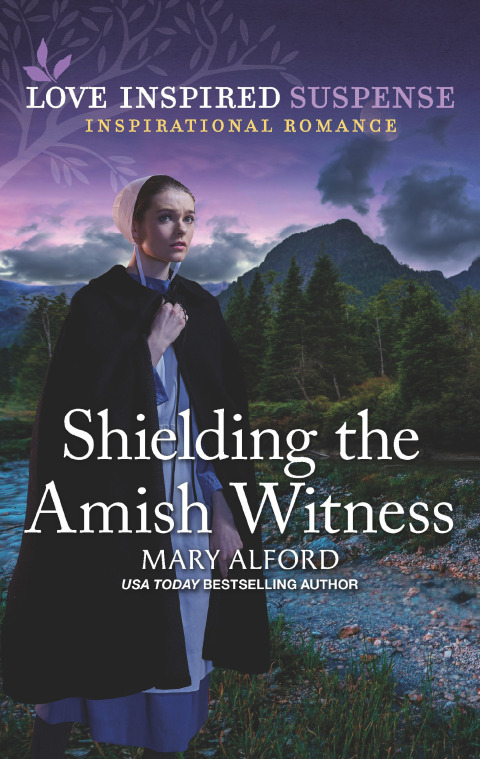Cover image for book Shielding the Amish Witness