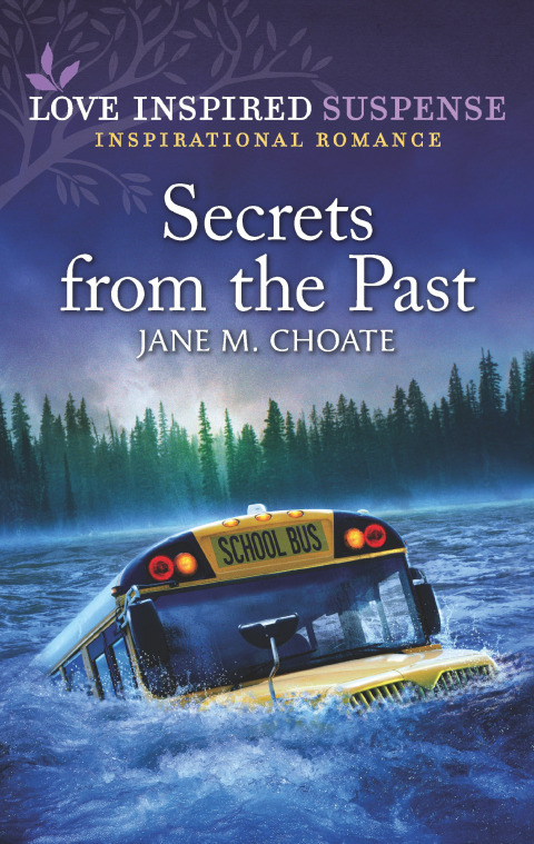 Cover image for book Secrets from the Past