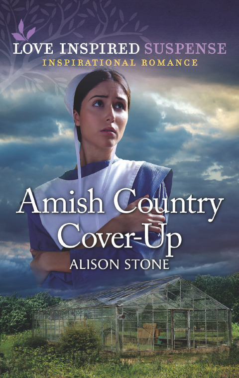 Cover image for book Amish Country Cover-Up