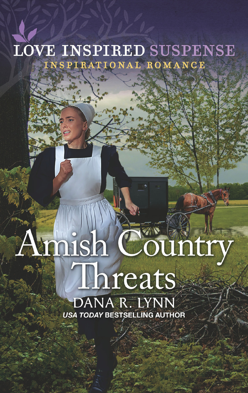 Reflowable Amish Country Threats; $5.54