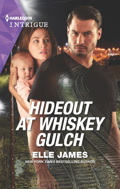 Cover image for book Hideout at Whiskey Gulch