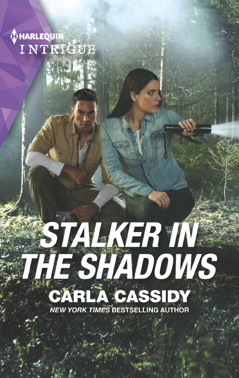 Cover image for book Stalker in the Shadows