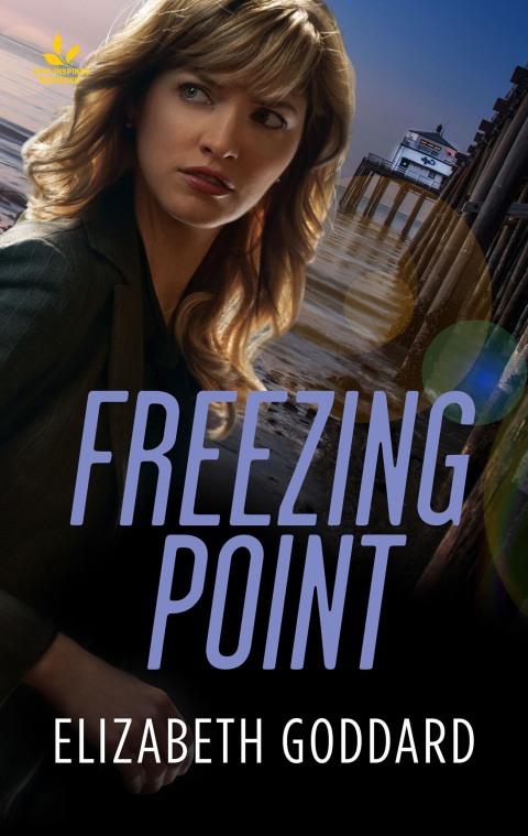 Cover image for book Freezing Point
