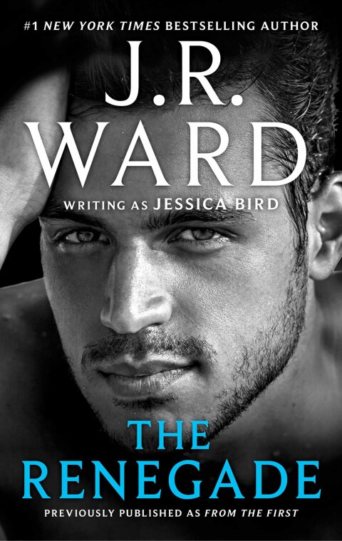Cover image for book The Renegade