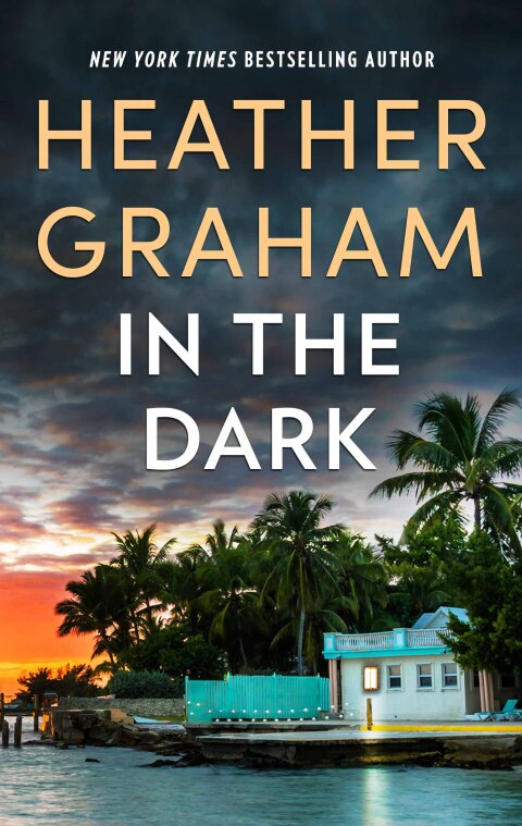 Cover image for book In the Dark