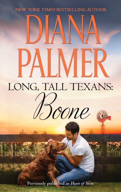 Cover image for book Long, Tall Texans: Boone