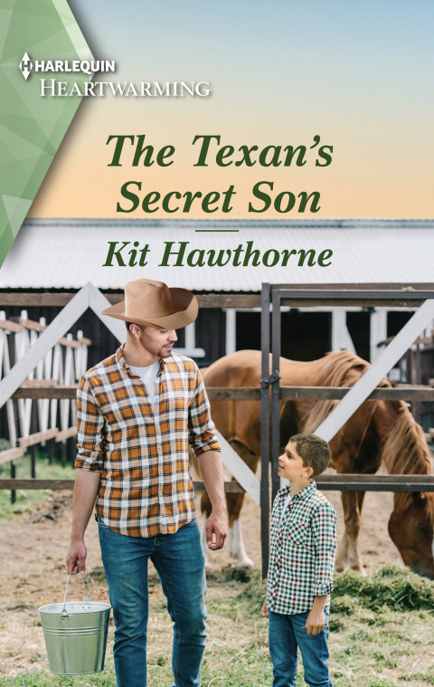 Cover image for book The Texan's Secret Son