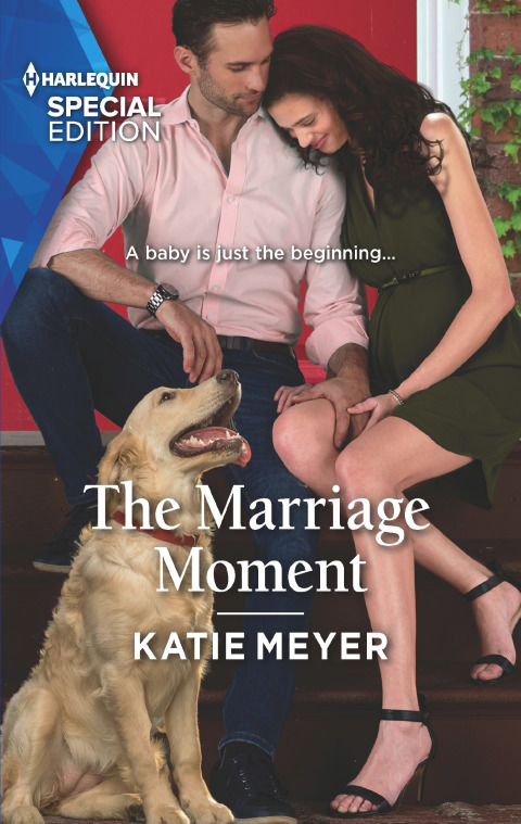 Cover image for book The Marriage Moment