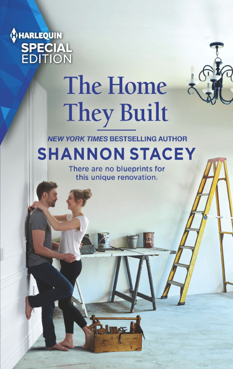 Cover image for book The Home They Built
