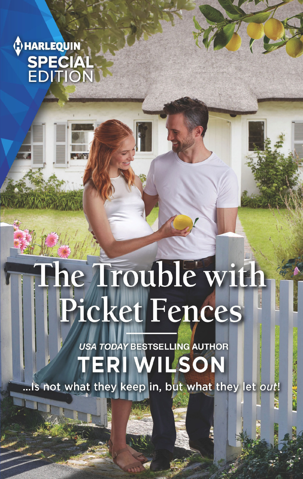 Reflowable The Trouble with Picket Fences; $5.54