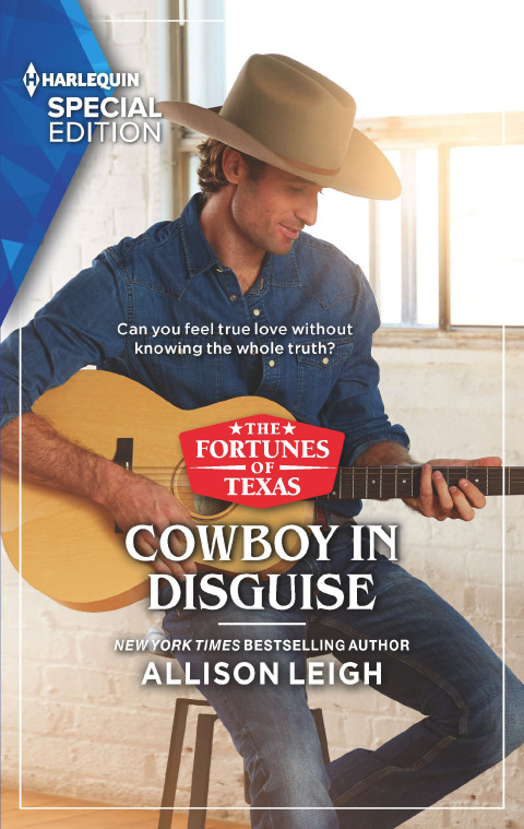 Cover image for book Cowboy in Disguise