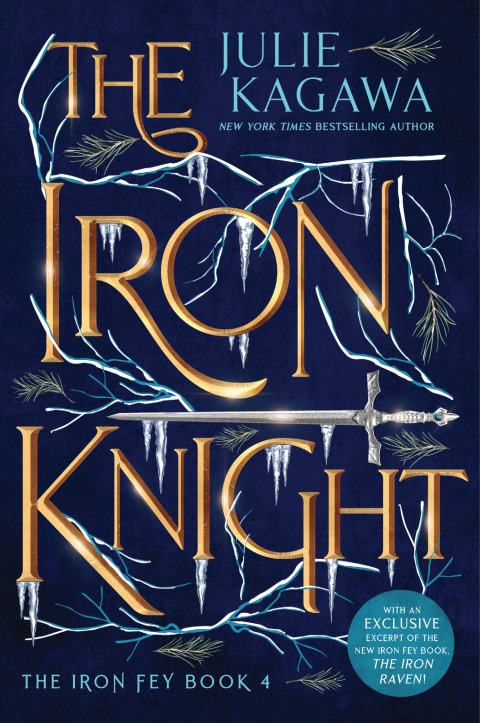 Cover image for book The Iron Knight Special Edition
