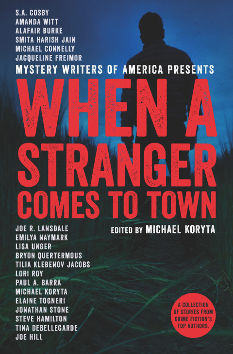Cover image for book When a Stranger Comes to Town