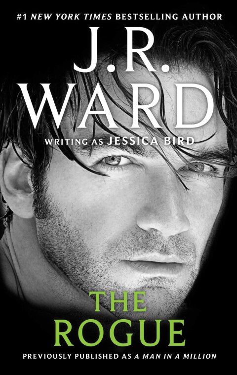 Cover image for book The Rogue