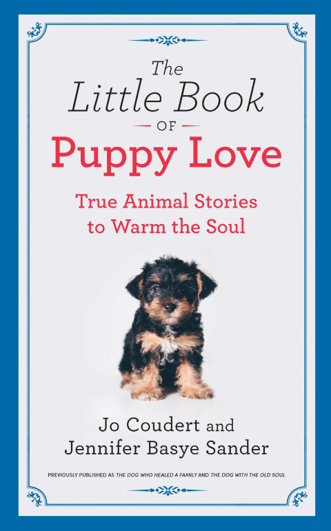 Cover image for book The Little Book of Puppy Love