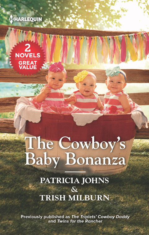 Cover image for book The Cowboy's Baby Bonanza