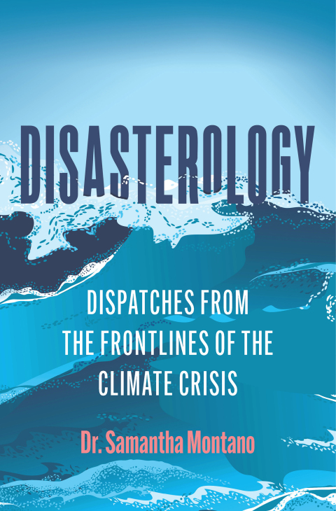 Cover image for book Disasterology