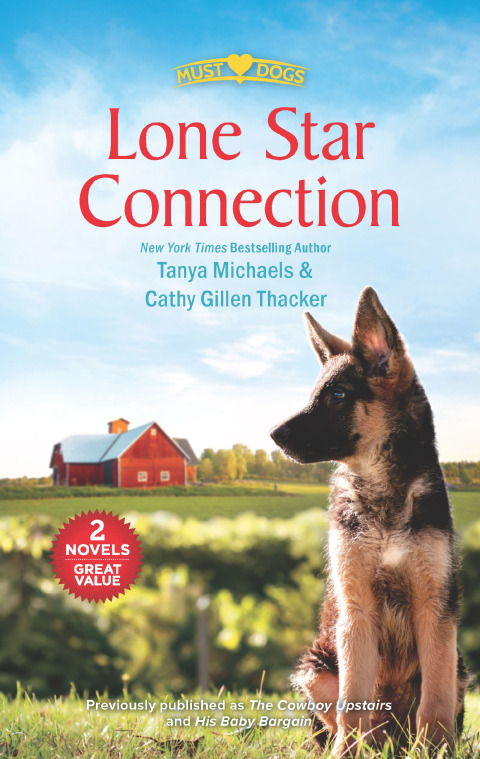 Cover image for book Lone Star Connection